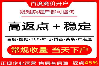 SEM搜索引擎优化策略解析与应用案例
